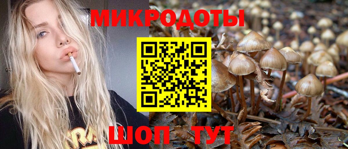 Псилоцибиновые грибы MAGIC MUSHROOMS  Вход с VPN  Псилоцибиновые грибы Psilocybine cubensis  Россошь 